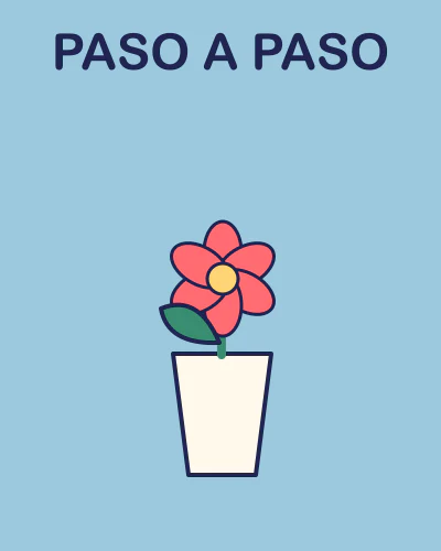 Paso a paso