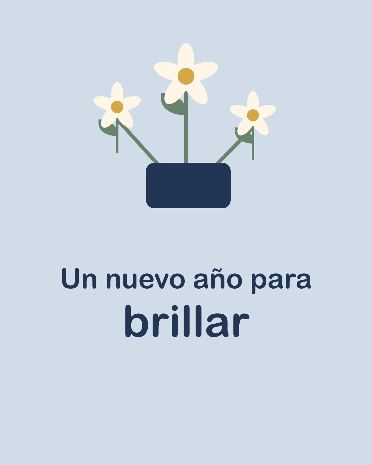 Un nuevo año para brillar