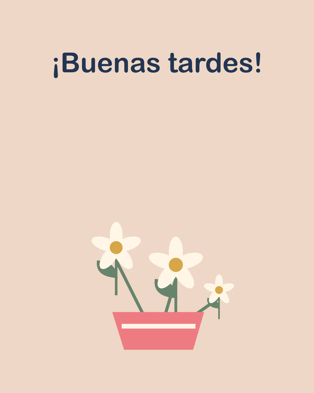 ¡Buenas tardes!