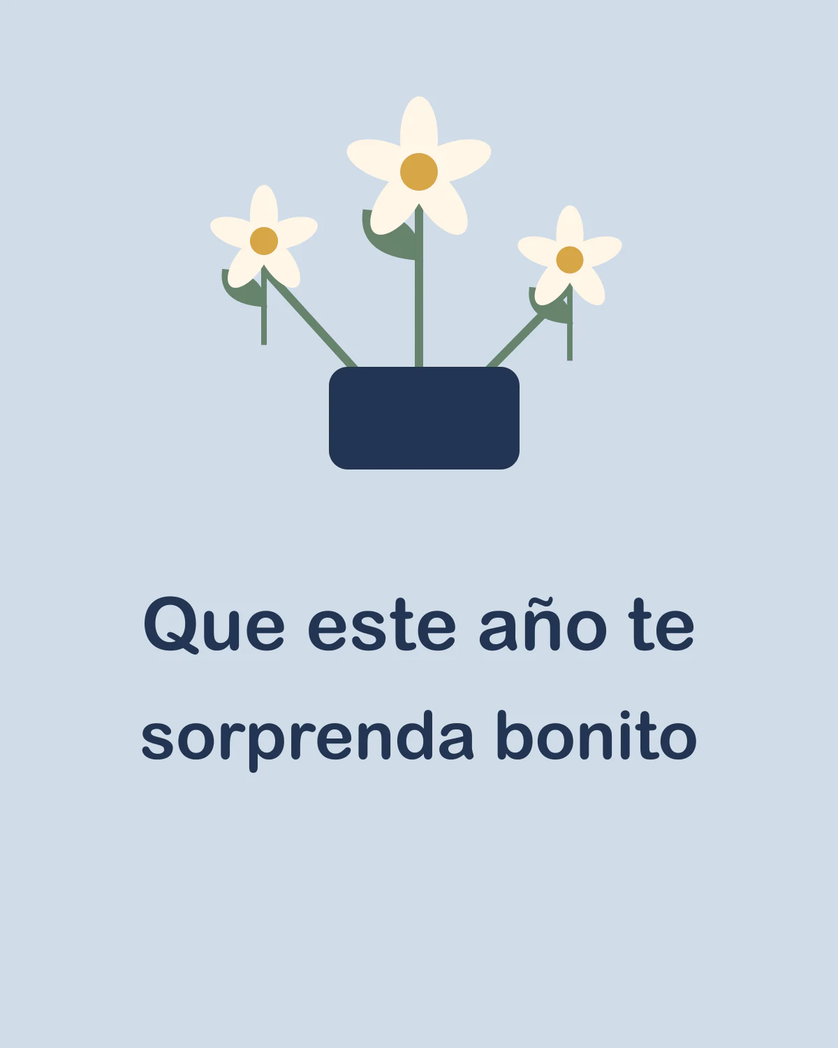 Que este año te sorprenda bonito